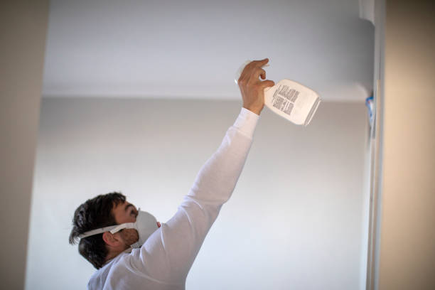Best Black Mold Remediation in Sturgeon, MO