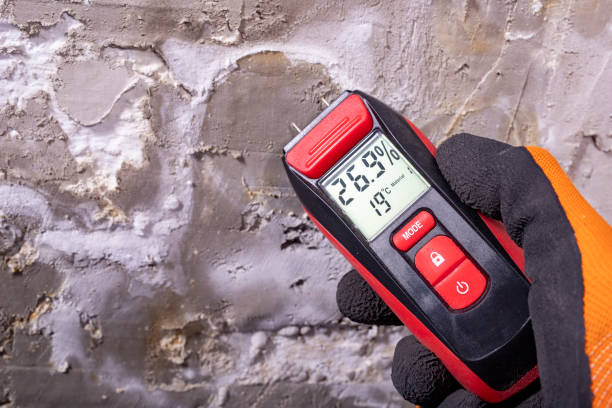 Best Mold Remediation for Schools in Sturgeon, MO