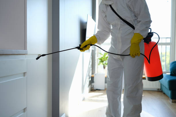Best Residential Mold Remediation in Sturgeon, MO